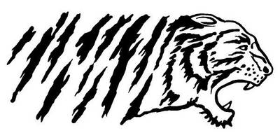 Виниловая наклейка на авто 70