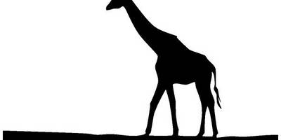 Животные 3715