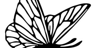 Животные 3920