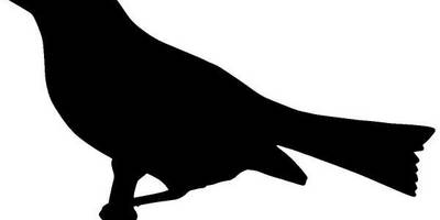 Животные 480