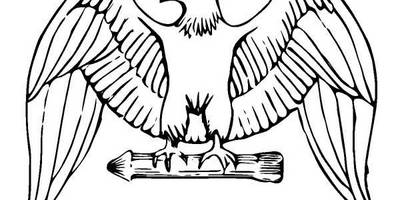 Животные 1259