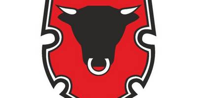 Rigas Miesnieks logo