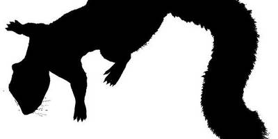 Животные 4092