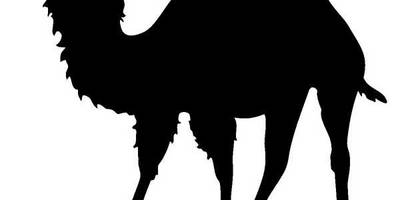 Животные 393