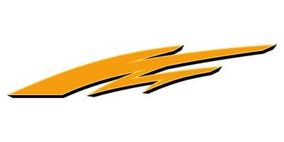 Виниловая наклейка на авто 100