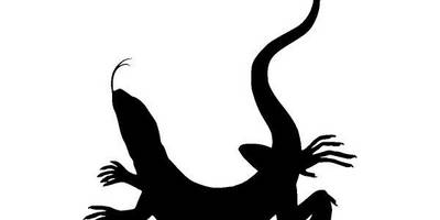 Животные 3273