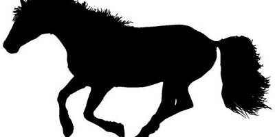 Животные 4024