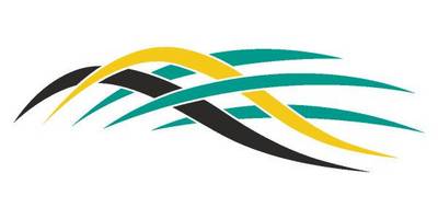 Виниловая наклейка на авто 461