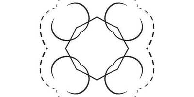 Орнамент цветы 383