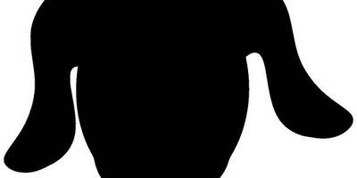 Животные 2013