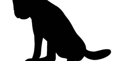 Животные 3308