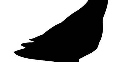 Животные 462