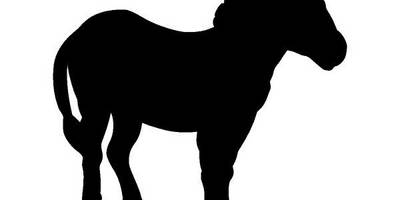 Животные 2524