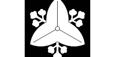 Японский узор 2753