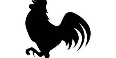 Животные 3473