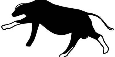 Животные 2601