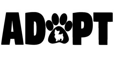 Животные 4078