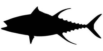 Животные 3426