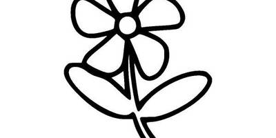 Цветы Ромашка 99