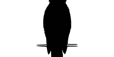 Животные 3893