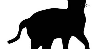 Животные 4118