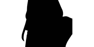 Животные 3735