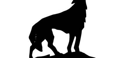 Животные 165