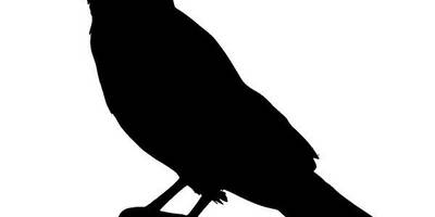 Животные 253