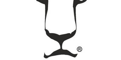 Lion&Co logo
