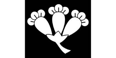 Японский узор 2574