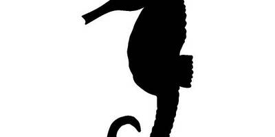 Животные 1199