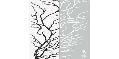 Прямоугольный орнамент 2165