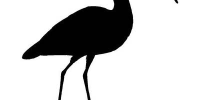 Животные 2781