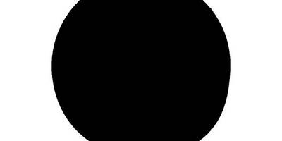 Животные 3179