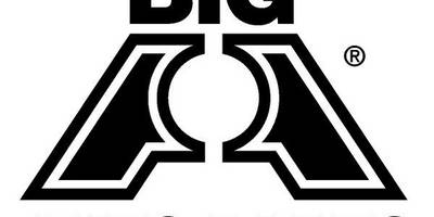 Big auto parts logo