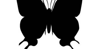 Животные 2696