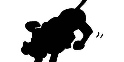 Животные 727