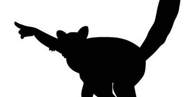 Животные 3031