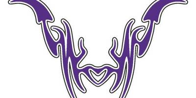 Виниловая наклейка на авто 394