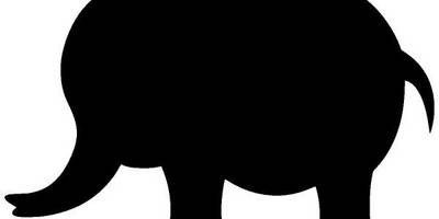 Животные 2579