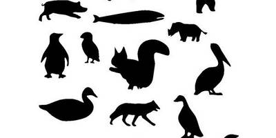 Животные 2712