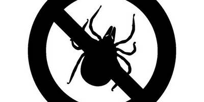 Животные 3196