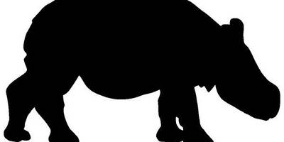 Животные 4205