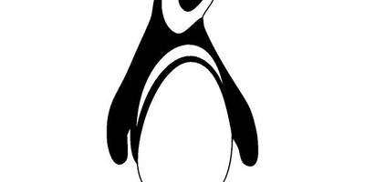 Животные 1565