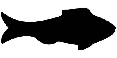 Животные 1555