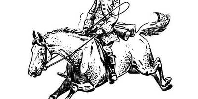 Животные 951