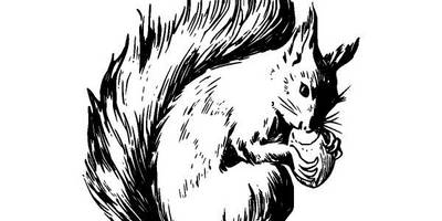 Животные 2687