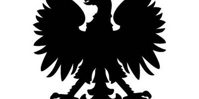 Животные 1606