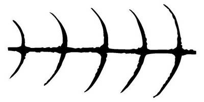 Виниловая наклейка на авто 211