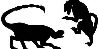 Животные 3494